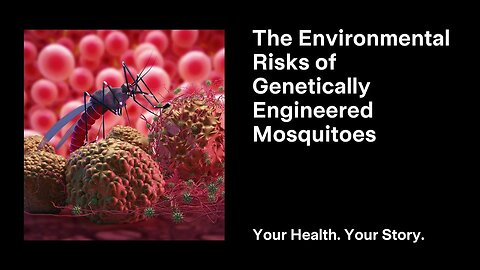 The Environmental Risks of Genetically Engineered Mosquitoes