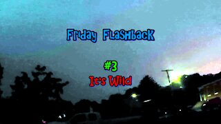 Friday Flashback #3