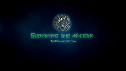 Surviving The Matrix