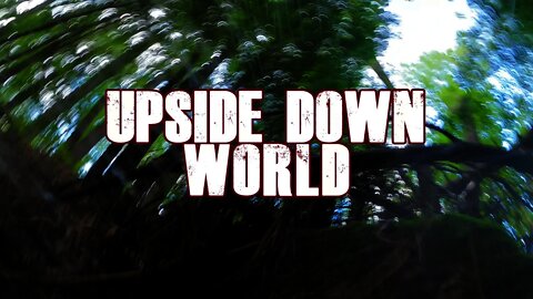 Upside Down World