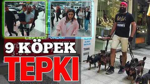 9 köpek karşısında insanların verdiği komik tepkiler