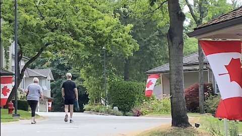 Canadian flag at each house