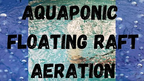 Aeration for floating rafts/ DWC auaqponics PART 2 (hybrid aquaponic system)