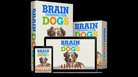 Brain Training For Dogs - Unique Dog Training Course