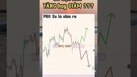 🐻🐻🐻Pro hay Newbie trong Trading chỉ 3 giây là biết 🐄🐄🐄 Up or Down?