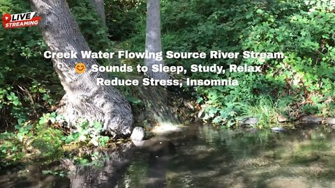 Creek Water Flowing Source River Stream. 😊 Sounds to Sleep, Study, Relax, Reduce Stress, Insomnia