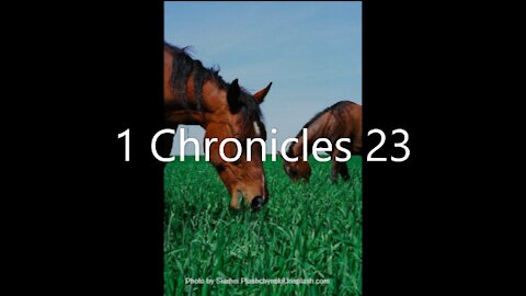 1 Chronicles 23 | KJV | Click Links In Video Details To Proceed to The Next Chapter/Book