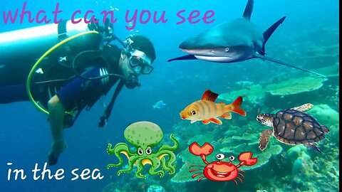 ANIMAL SERIES , SEA ANIMALS , SHARK, OCTOPUS, FISH, CRAB, TURTLE