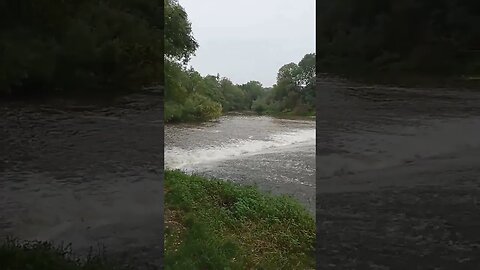 der Leine Wasserfall bei Brüggen, beeindruckend #shorts #natur #shortvideo #alfeld