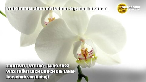 WAS TRÄGT DICH DURCH DIE TAGE? - Botschaft von Babaji ~ LWV