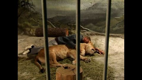 Man Lives In Cage With Lion