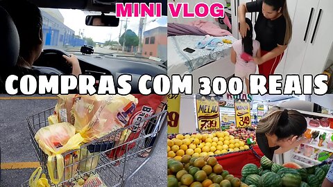 COMPRAS PRA PASSAR O ANO NOVO🛒 UM MINI VLOG ||GUARDEI AS COMPRAS