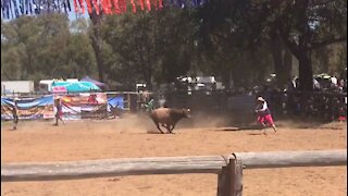 Close Call for the Clown at Boddington Rodeo, Western Australia