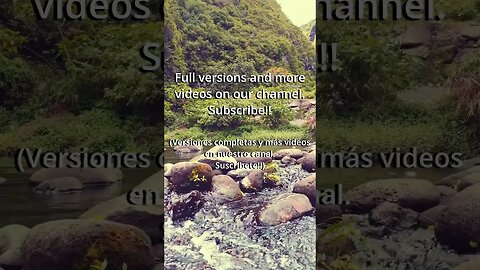 As the river 🏞️ dances and the waterfall 🎶 sings | relaxing music #shorts #naturelovers