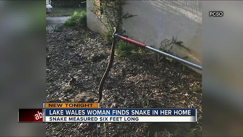 Florida woman discovers she spent all day working next to six foot long snake in home office