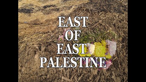 East of East Palestine II