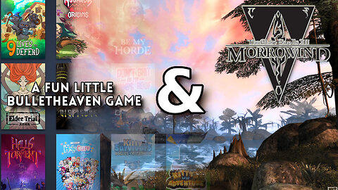 Double Feature - A Fun Bulletheaven Game & Morrowind