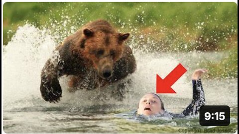 This Bear Saw Her Drowning And Crying For Help. Then, He Got Into The Water And…