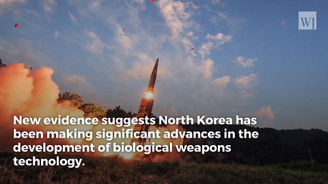 North Korea Has Been Developing Biological Weapons for Over a Decade