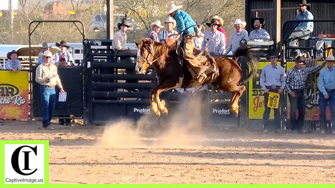 Bronc Riding - 2024 Lowell Goemmer Memorial Rodeo