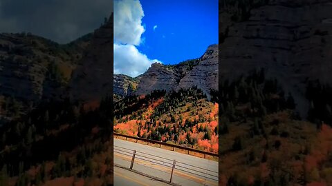 #fall 🍁 #shortvideo #shorts #travel #utah