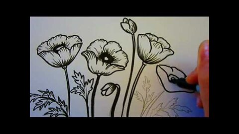 Flower Tutorial - How To Draw Flowers - Poppy Flowers