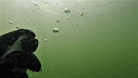 Casual exploration dive in new area at Black Butte Lake