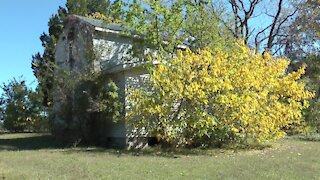 Hollies Church Road House - Abandoned