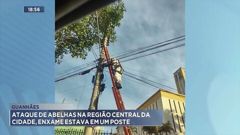 Guanhães: Ataque de Abelhas na região central da Cidade, Enxame estava em 1 Poste.