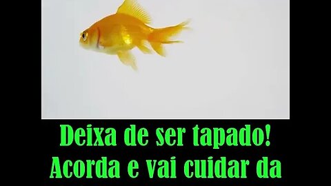 #Vai cuidar da vida!