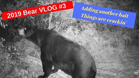 Bear Hunting VLOG #3