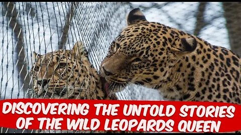 Discovering the Untold Stories of the Wild Leopards Queen