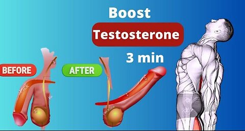 Boost Testosterone | Boost male Harmon Naturally At Home