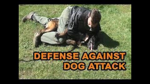 how to defend against dog