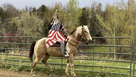 Hankie Pankie and Flags