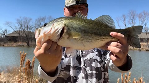 RED In Late Winter / Early Spring is DEADLY