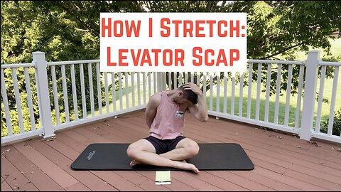 MY Levator Scap Stretch #stretch #gym #exercise #neck #pain