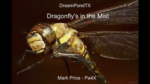 DreamPondTX/Mark Price - Dragonfly's In The Mist (OASYS at the Pond)