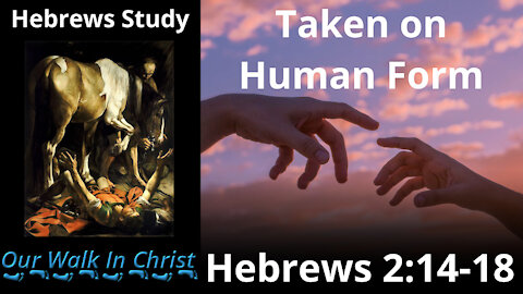 Taken On Human Form | Hebrews 4