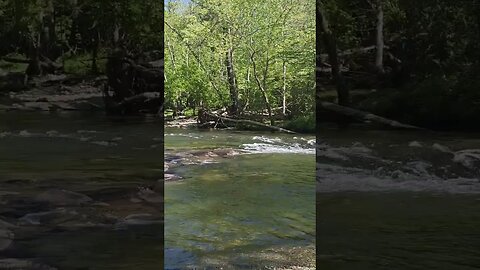 Oconaluftee River Trail