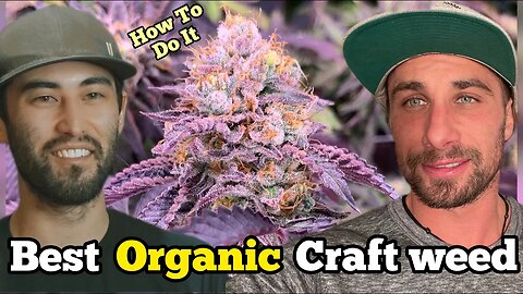 Best CRAFT Weed Ever Wiersmerica Podcast(Ep.4)