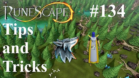 What is the Summoning Skill? : RuneScape Tips and Tricks 134