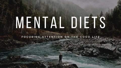 Contemplating Perfection | Mental Diets #143