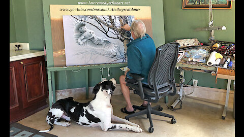 Great Dane Watches Artist Paint Snowy Owl