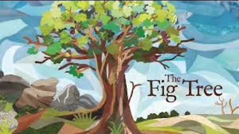 The Parable of the Fig Tree Explained