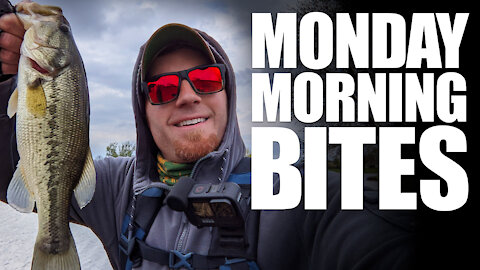 Northern Illinois Largemouth in Spring | Monday Morning Bites: Episode 1