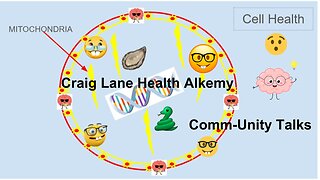 Craig Lane Health Alkemy Comm-Unity Talks - Audaciously Bad Gut Tenants + Gut Scabs?