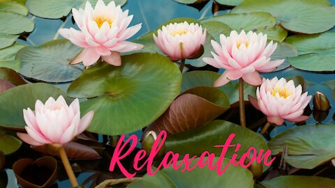 DEEP RELAXATION| DESTRESS | MEDITATION MUSIC