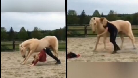 Rumble Hot Girl Vs horse Hot Scene for Their entertainment