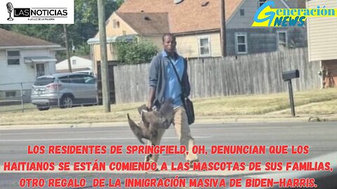 Inmigrantes haitianos se comen los gatos y perros de los residentes en Ohio.